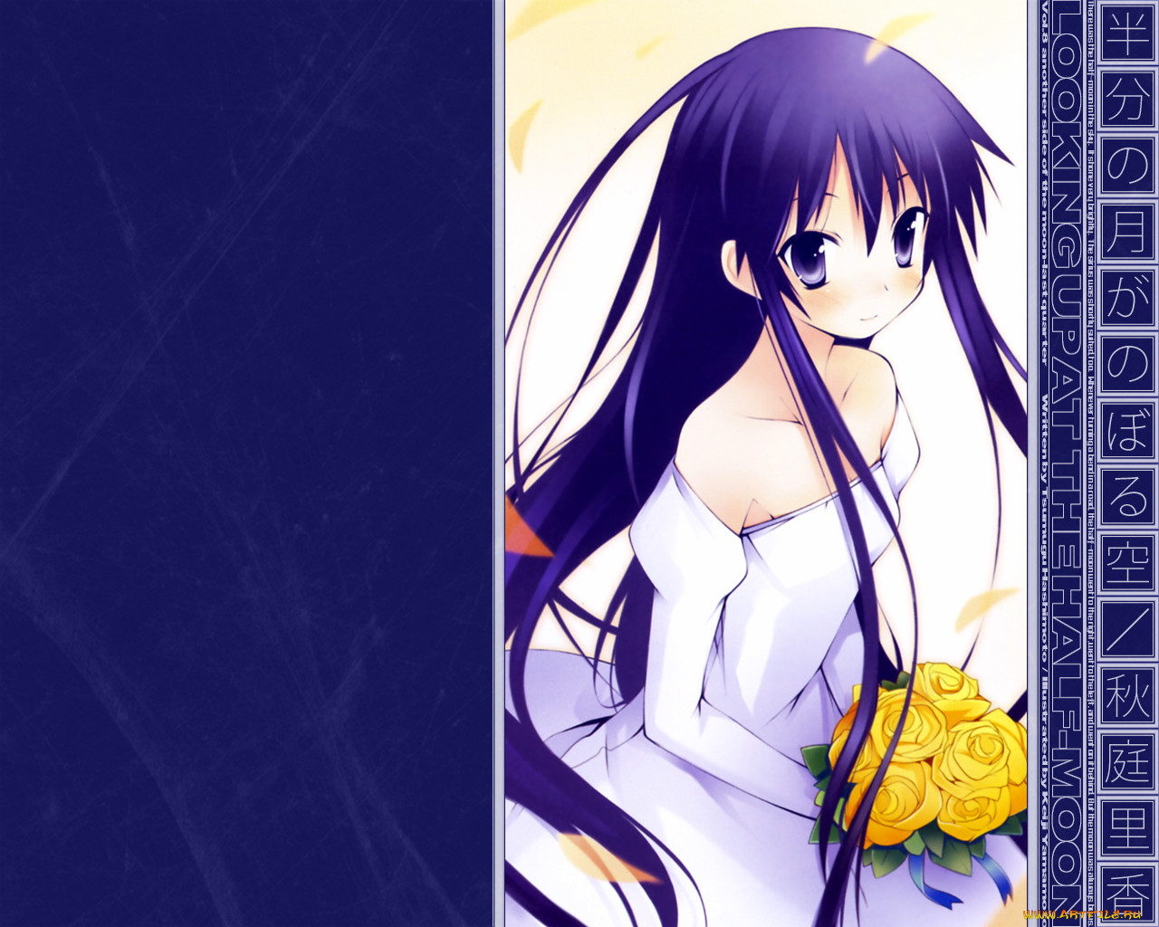 , hanbun, no, tsuki, ga, noboru, sora